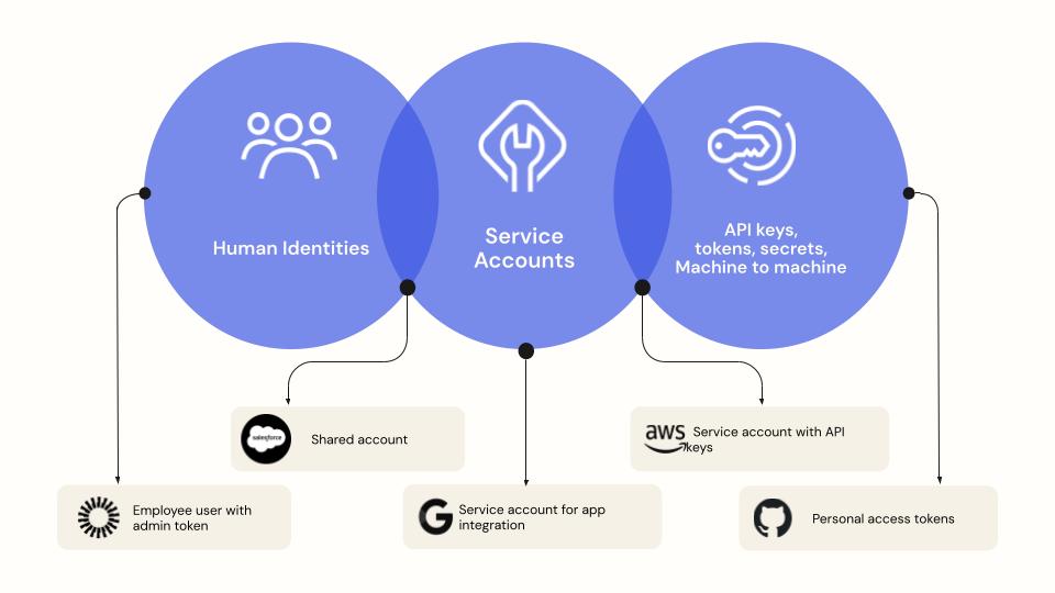 Non-human identities