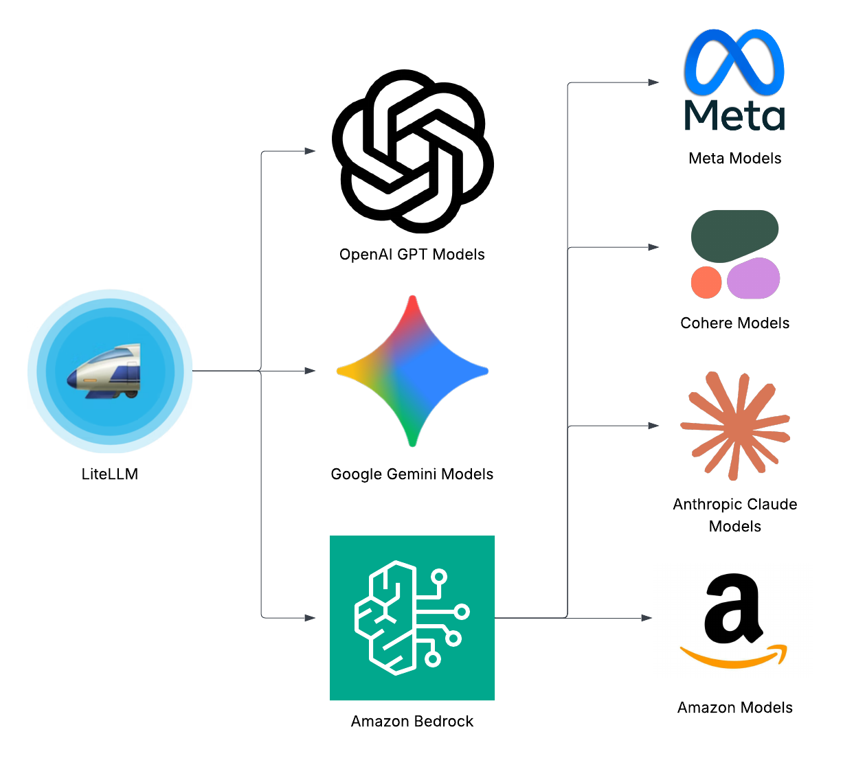 A visual diagram illustrates LiteLLM interfacing with various AI model providers. 