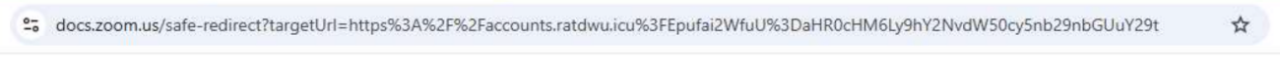 An AnyRun scan shows the redirect from a Zoom Doc link to the phishing domain